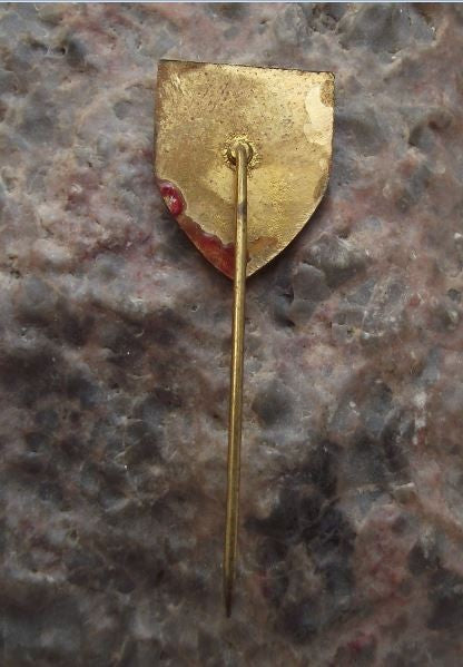 Rabi Village & Castle Czechoslovakia Family Heraldic Crest Shield Pin Badge - Badgecrazy