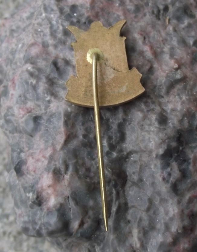 Vintage Petrof Electrophonic Organ Keyboard Pianos Czech Piano Makers Pin Badge - Badgecrazy
