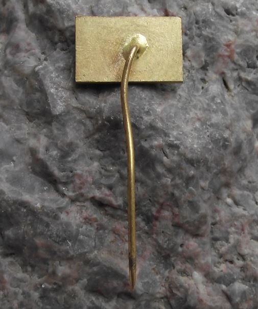 Ratiborice Chateau Castle Palace Czech Baroque Tourist Souvenier Pin Badge - Badgecrazy