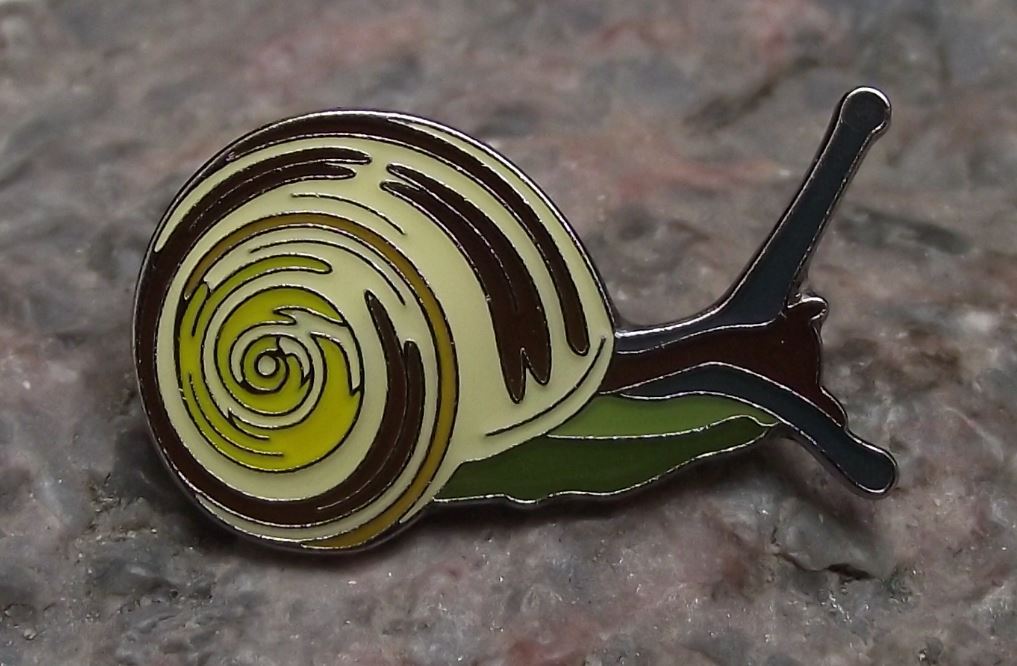 Pretty North American Banded Land Snail Mollusc with Shell Brooch Pin Badge - Badgecrazy