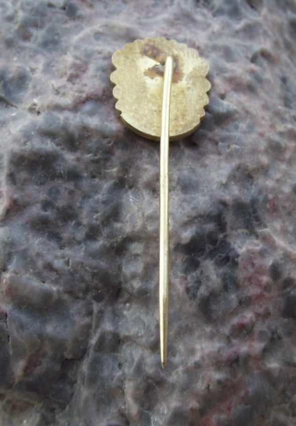 Antique Mokrice Czechoslovakia Dead Crow Coat of Arms Heraldic Crest Pin Badge - Badgecrazy