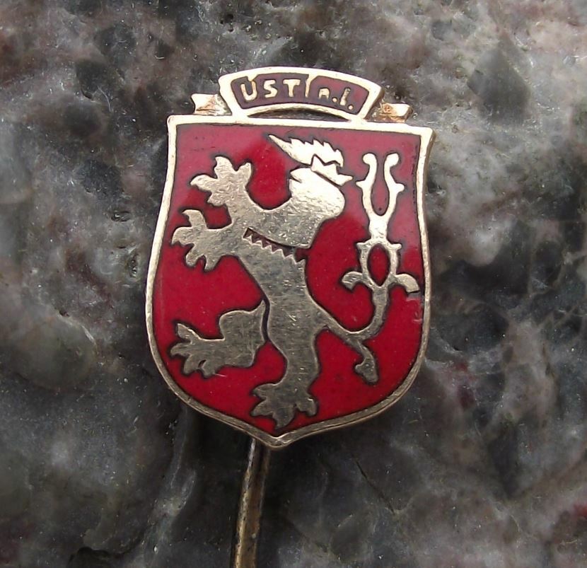 Antique Usti nad Labem Lion Helmet Heraldic Crest Coat of Arms Pin Badge - Badgecrazy