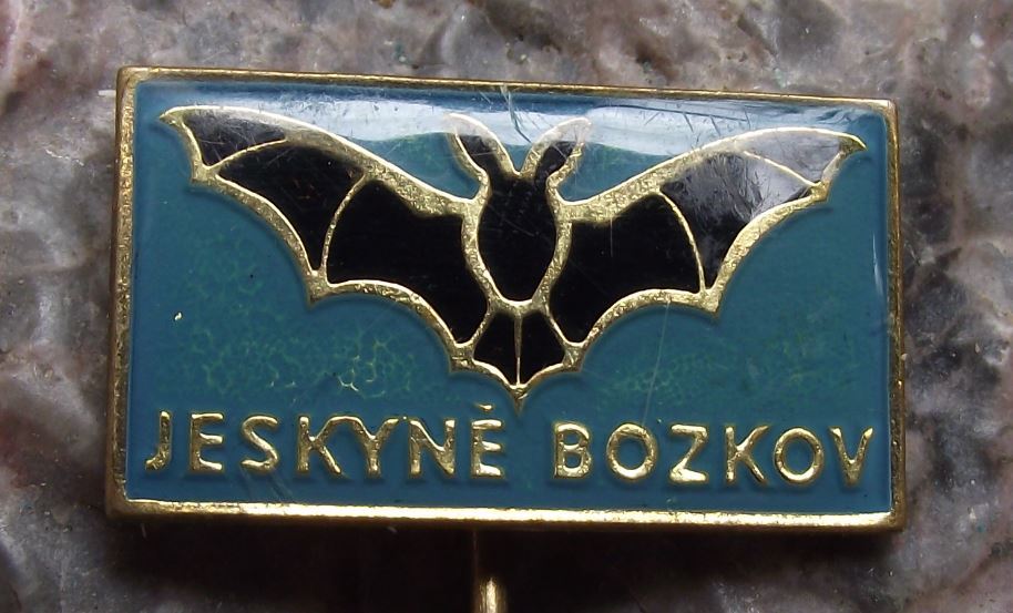 Jeskyne Bozkov Dolomite Czech Cave Complex System Flying Black Bat Pin Badge - Badgecrazy