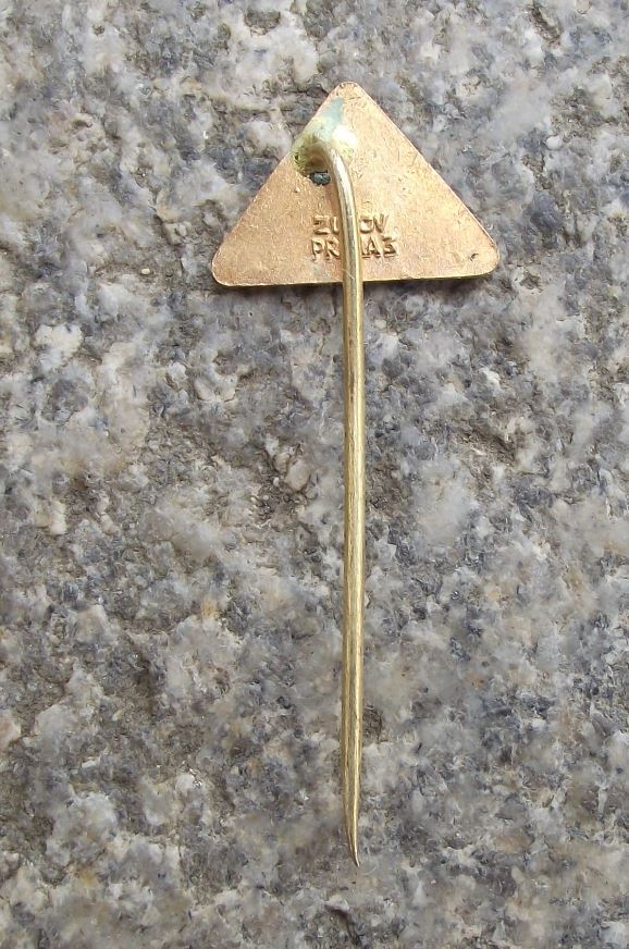 Antique Rabi Ruined Castle Czechoslovakia Bohemian Hill Fortress Pin Badge - Badgecrazy