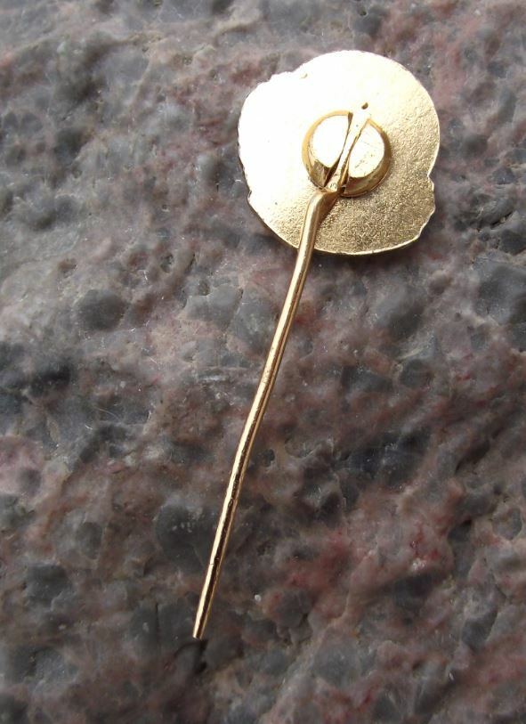 1961 Prelouc Czech City 600th Anniversary Tourist Souvenier Pin Badge - Badgecrazy