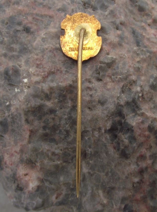 Antique Susice Schuttenhofen City Gate Coat of Arms Heraldic Crest Pin Badge - Badgecrazy
