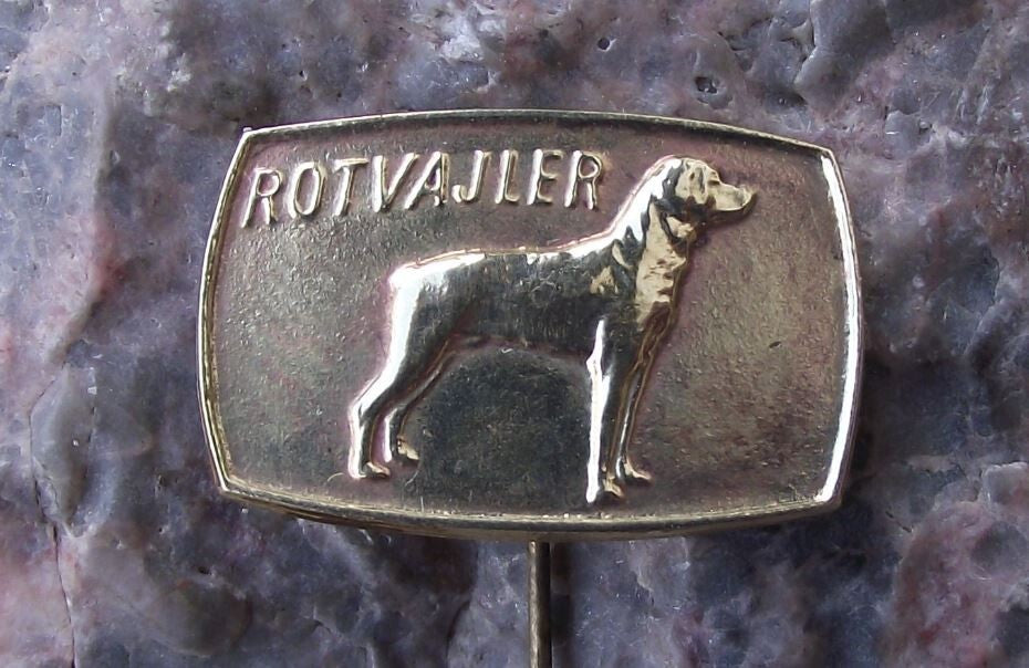 Vintage Rottweiler Rottie Rot Pedigree Czech Dog Breeders Association Pin Badge - Badgecrazy