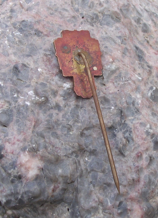 1912 Sokol Organisation 6th All State Mass Gymnastics Display Prague Pin Badge