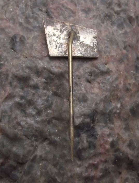 Antique Brandys nad Labem Stara Boleslav Travel Tourist Souvenier Pin Badge - Badgecrazy