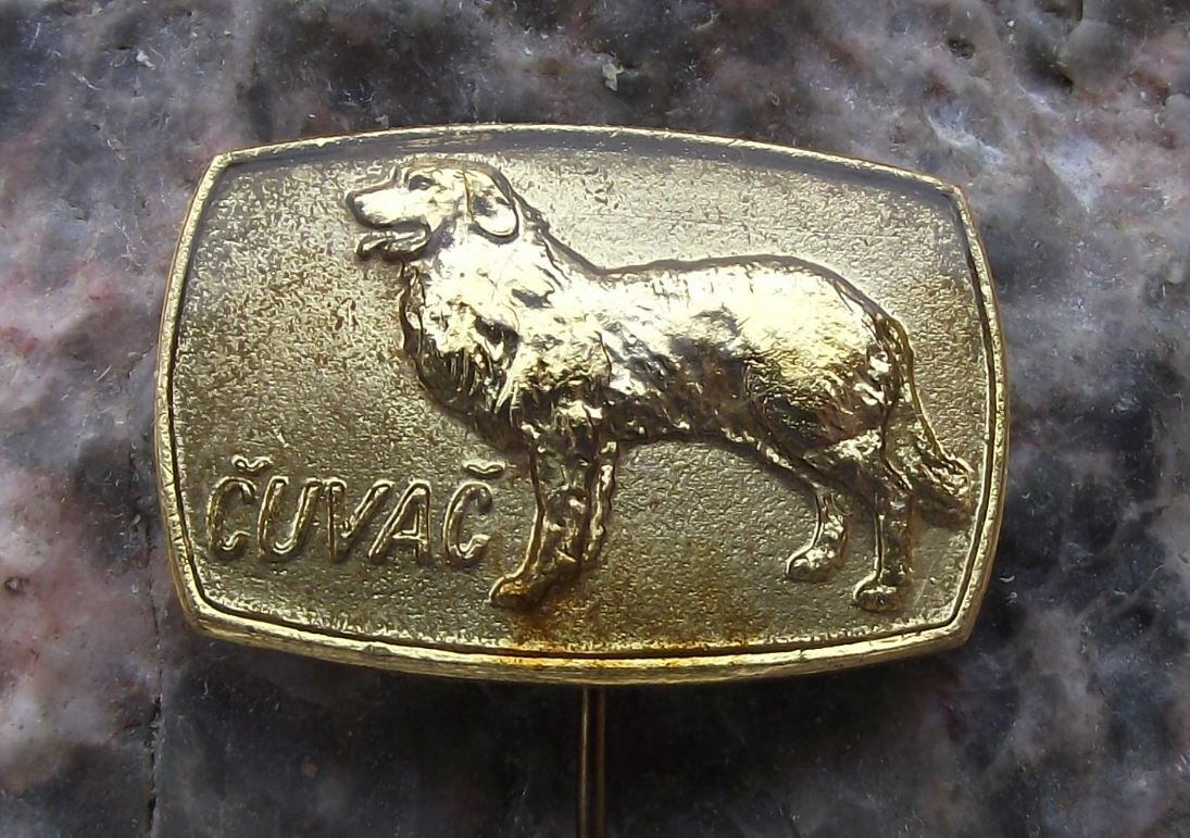 Antique Slovak Cuvac Pedigree Czech Mountain Dog Breeders Association Pin Badge - Badgecrazy