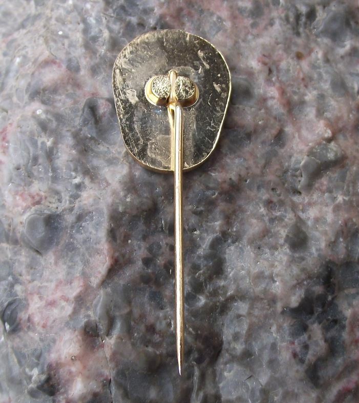Olomouc Olmutz Moravia Red Flower Bloom Czechoslovakia Souvenier Pin Badge - Badgecrazy