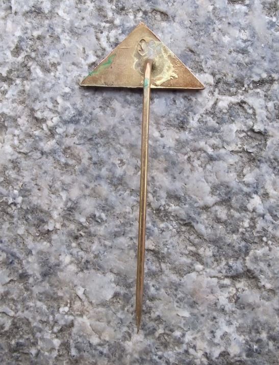 Antique Usti nad Labem Strekov Schreckenstein Castle River Elbe Pin Badge - Badgecrazy