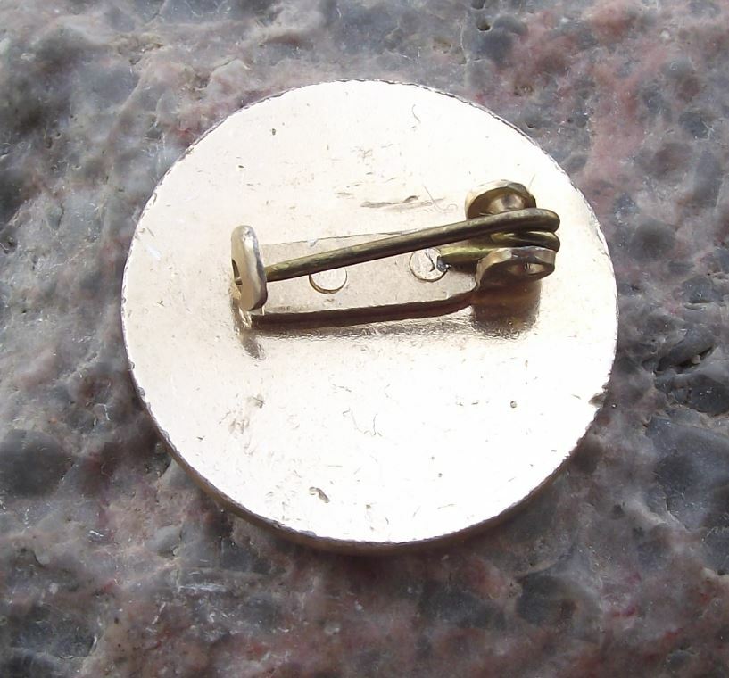 Antique Czechoslovakia 100 Million Building Bricks Production Landmark Pin Badge - Badgecrazy
