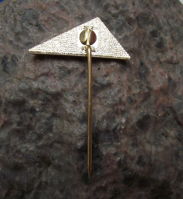 Wagner Surface Painting Liquid Specialist Covering Powder Paint Pin Badge