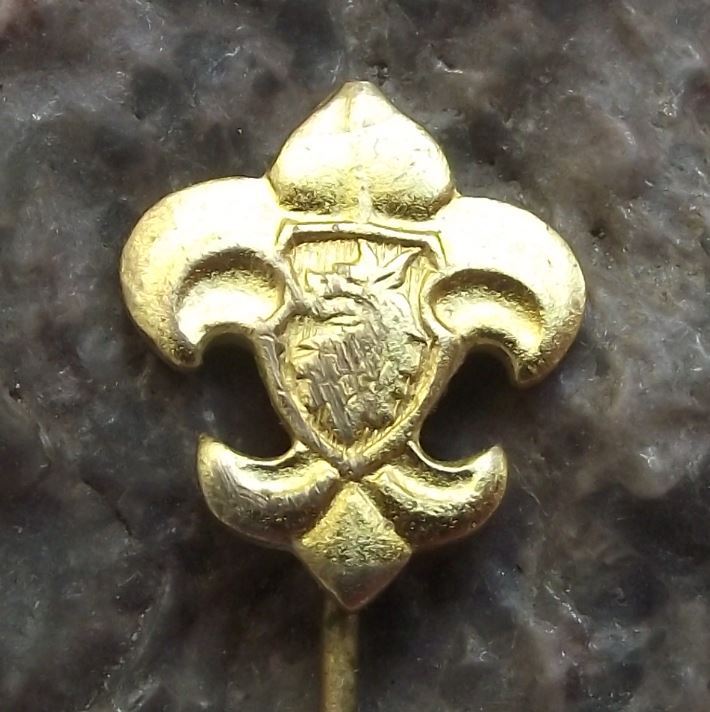Czech Boy Scouts Association Fleur de Lis Symbol Golden Wolf Scouting Pin Badge - Badgecrazy