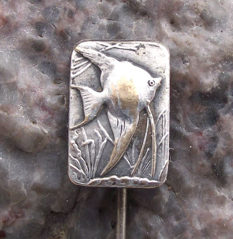 Vintage Angelfish Pterophyllum Aquarium Czech Tropical Fish Club Pin Badge - Badgecrazy