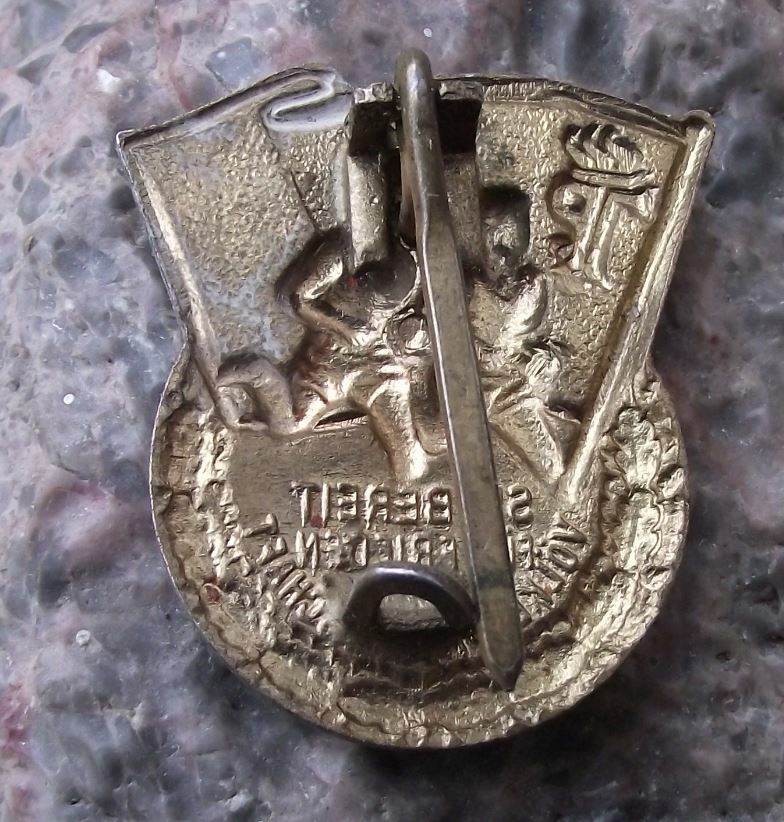 Vintage East Germany Pioneer Youth Peace & Friendship Running DDR Flag Pin Badge - Badgecrazy