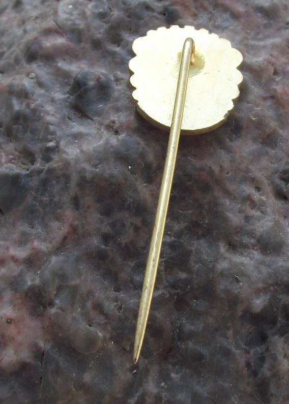 Antique Ljubljana Slovenia Heraldic Crest Coat Arms Shield Pin Badge - Badgecrazy