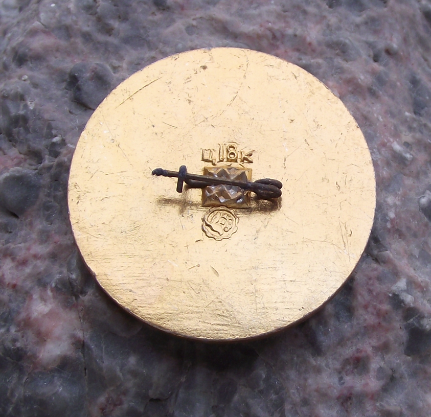 Vintage Kherson Ukraine Port Shipyard Dnipro River Sailing Ship Pin Badge - Badgecrazy
