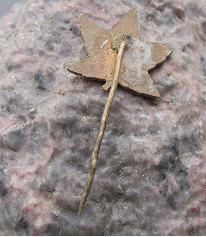 Antique Canada Maple Leaf Fall Colours National Symbol Canadian Flag Pin Badge - Badgecrazy