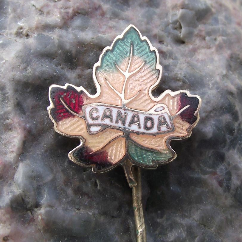 Antique Canadian Maple Leaf Fall Colours National Symbol Canada Flag Pin Badge - Badgecrazy