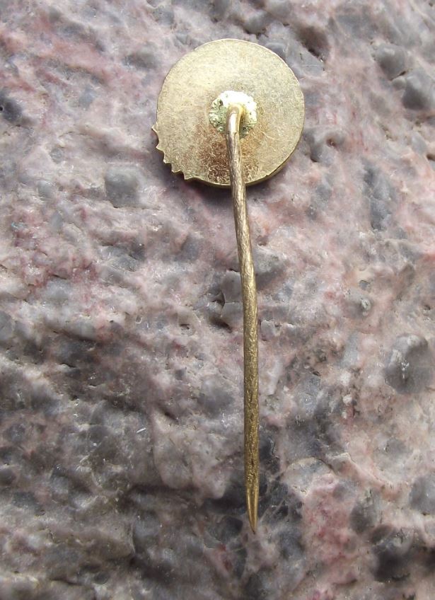 Antique High Tatra Mountains Vysoke Tatry Edelweiss Flower Climbers Pin Badge - Badgecrazy