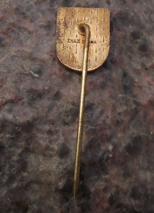 Prostejov Moravia Black Eagle Heraldic Crest Tourist Travel Souvenier Pin Badge - Badgecrazy