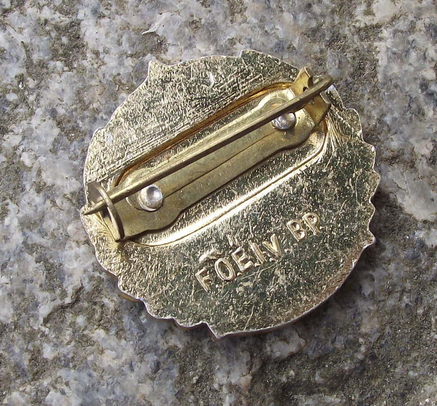 1960 Hungary Hungarian Young Pioneer Movement 15th Anniversary Star Pin Badge - Badgecrazy