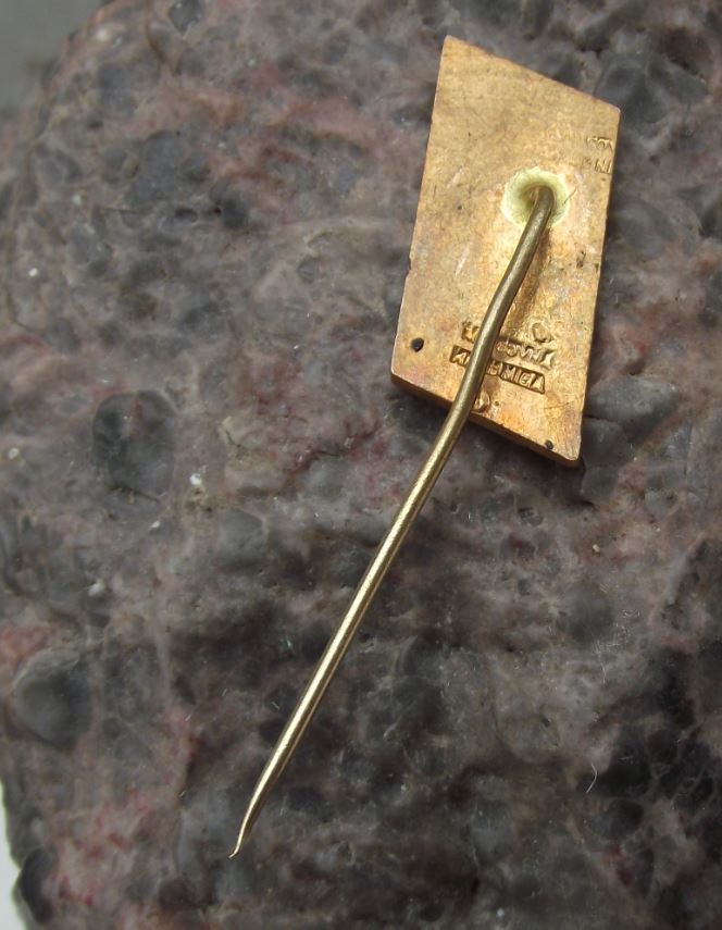 Antique Machovo Jezero Lake Liberec Sailing Yacht Yachting Resort Pin Badge - Badgecrazy