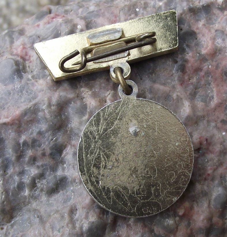 1959 FDJ Rostock Freie Deutsche Jugend DDR VI 6th Parliament Medal Pin Badge - Badgecrazy