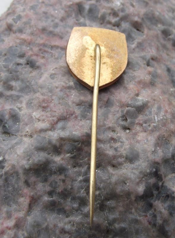 Antique Velka Bites Czech City Eagle Lion Coat of Arms Heraldic Crest Pin Badge - Badgecrazy