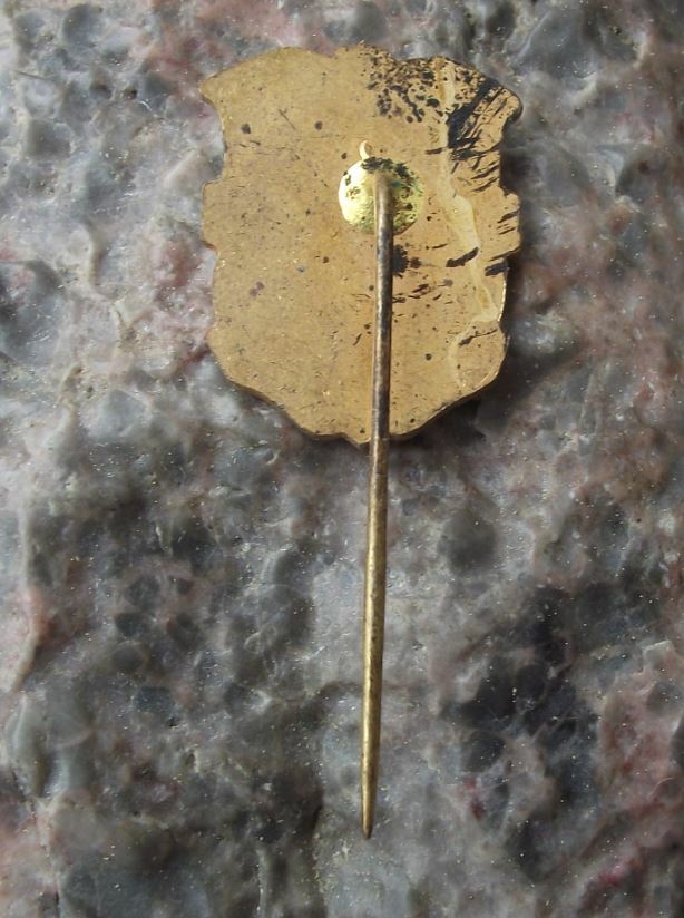 Antique Flourite Fluorspar Mines Czechoslovakia Sobedruhy Mining Crest Pin Badge - Badgecrazy