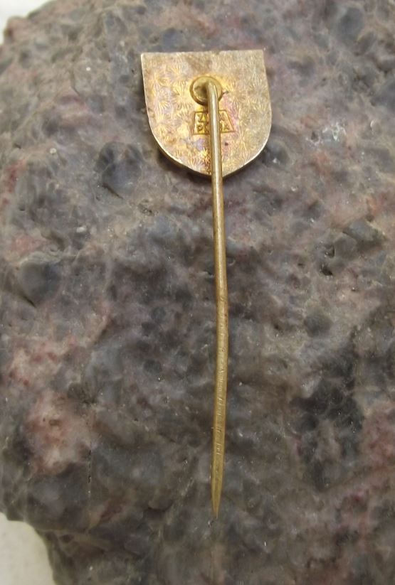 Volyne Strakonice Town Hall Bohemia Shield Crest Travel Souvenier Pin Badge