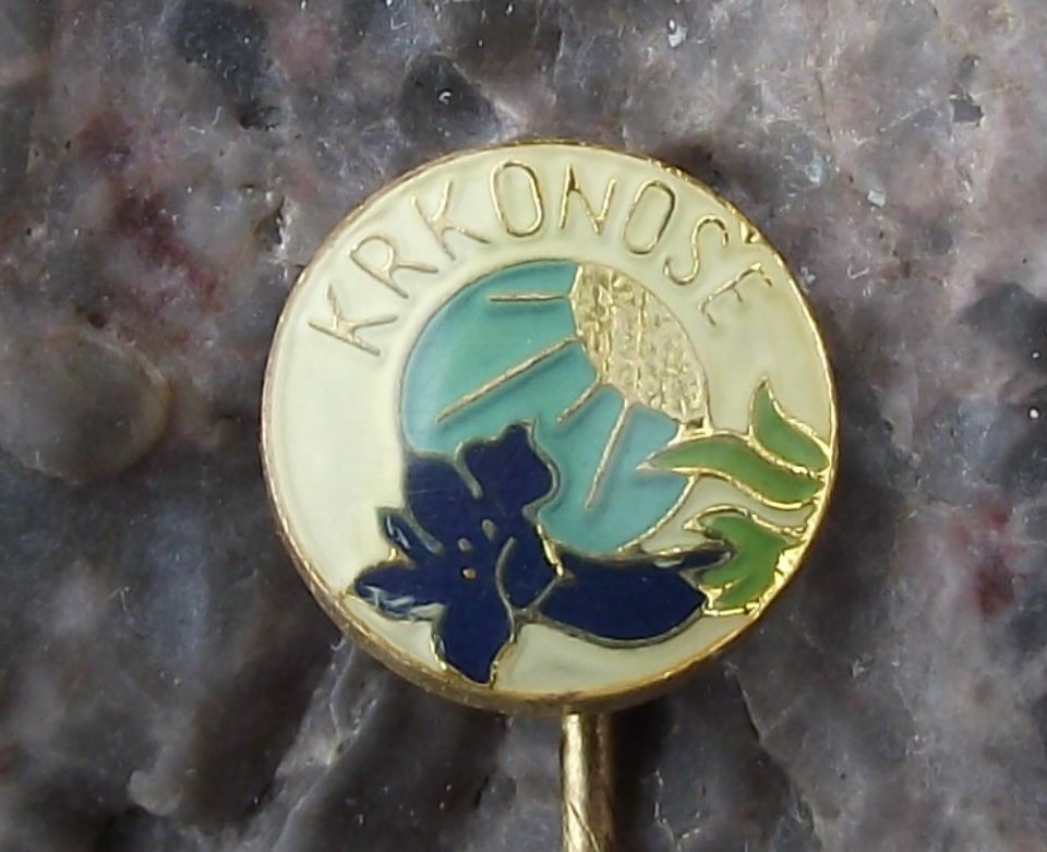 Vintage Krkonose National Park Campanula Flower Czech Mountain Park Pin Badge - Badgecrazy