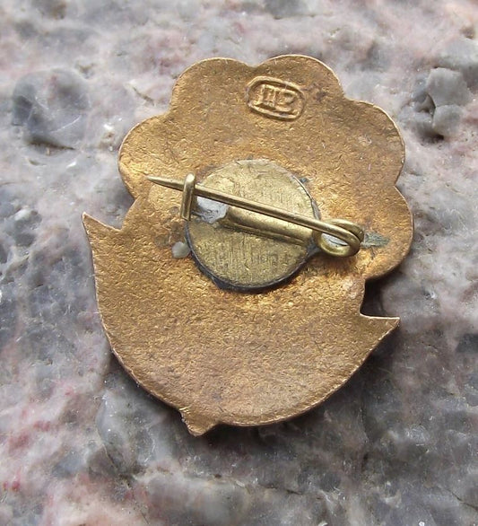 1958 Day of Soviet Union Youth Blue Flower Russia Hammer Sickle Pin Badge - Badgecrazy