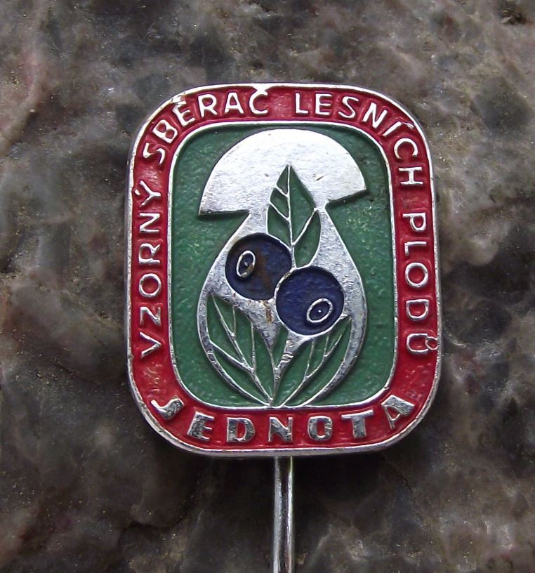Vintage Collector of Forest Fruits Woodland Mushroom Blueberry Award Pin Badge - Badgecrazy
