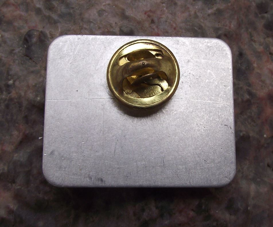 United Airlines America USA Rewarding Moments Staff Team United Award Pin Badge - Badgecrazy
