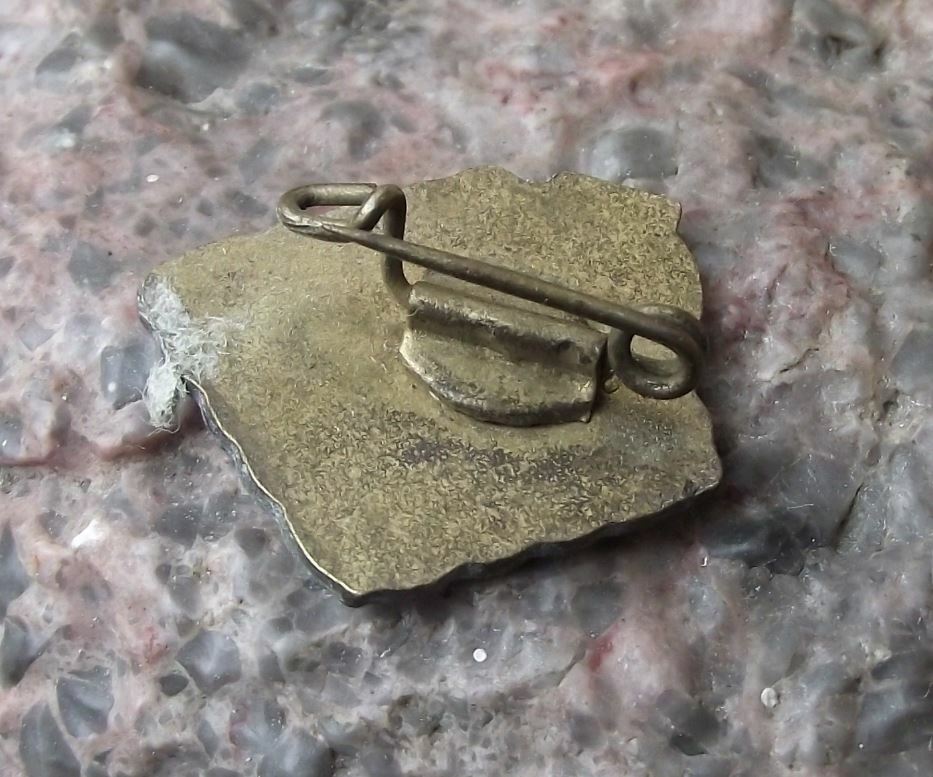 Vintage FDJ NAW Freie Deutsche Jugend East Germany Young Activist Pin Badge - Badgecrazy
