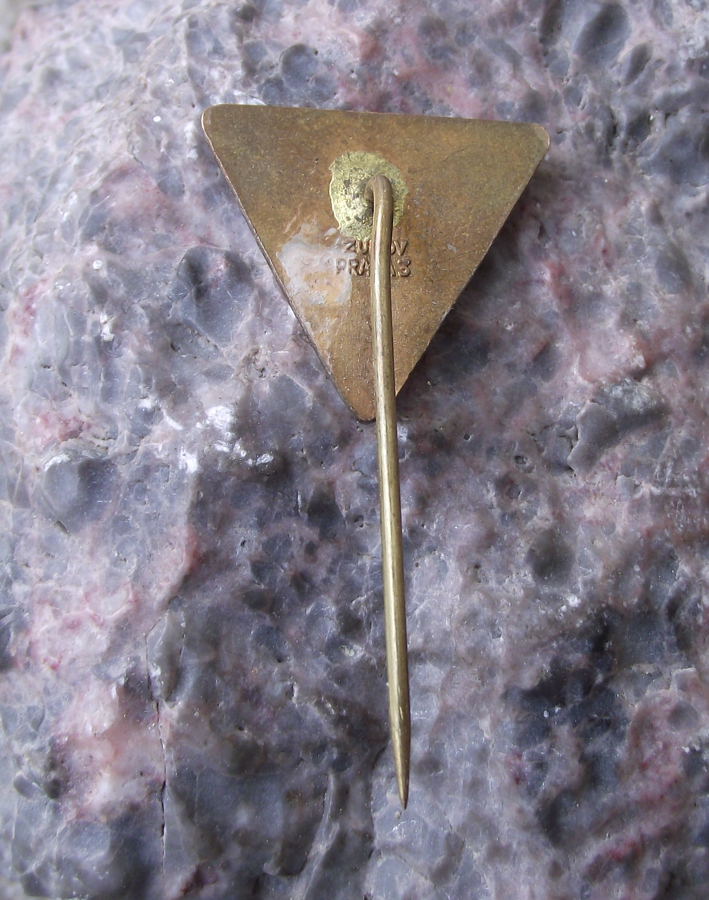Vintage Radio Prague CSSR Czechoslovakia Broadcasting Tower Red Star Pin Badge - Badgecrazy