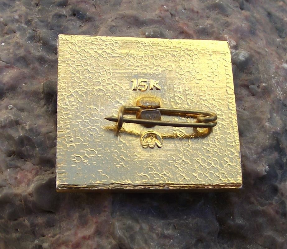 Soviet Union World War 2 II Participation 1941 1945 Eternal Flame Pin Badge - Badgecrazy