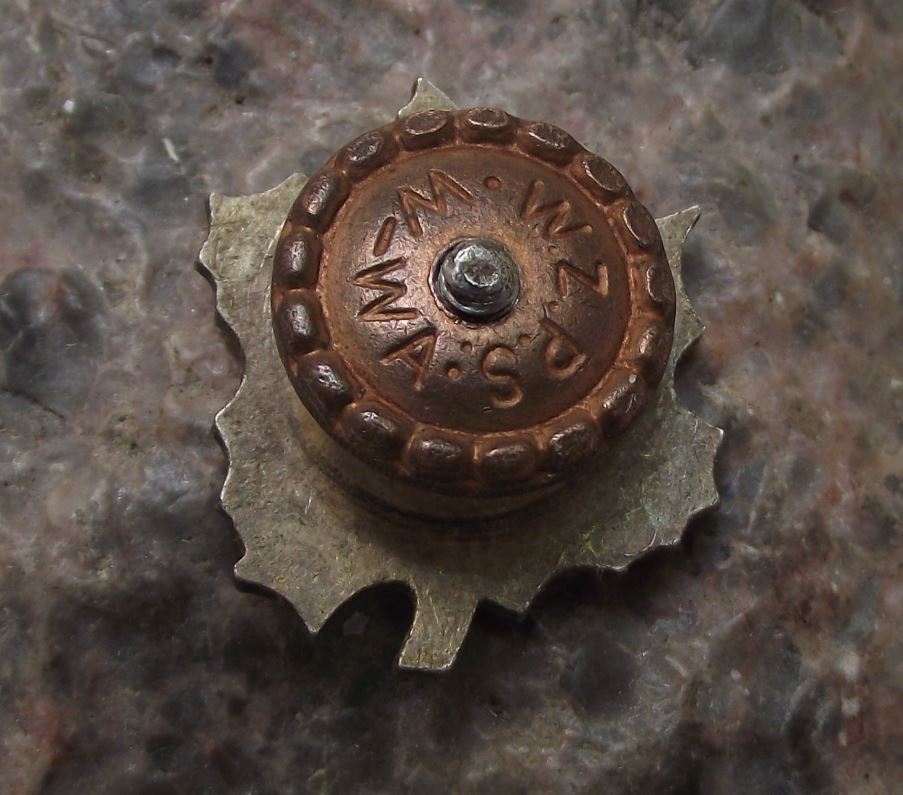 Antique PTTK Polish Poland Tourist and Sightseeing Society Leaf Jacket Pin Badge - Badgecrazy