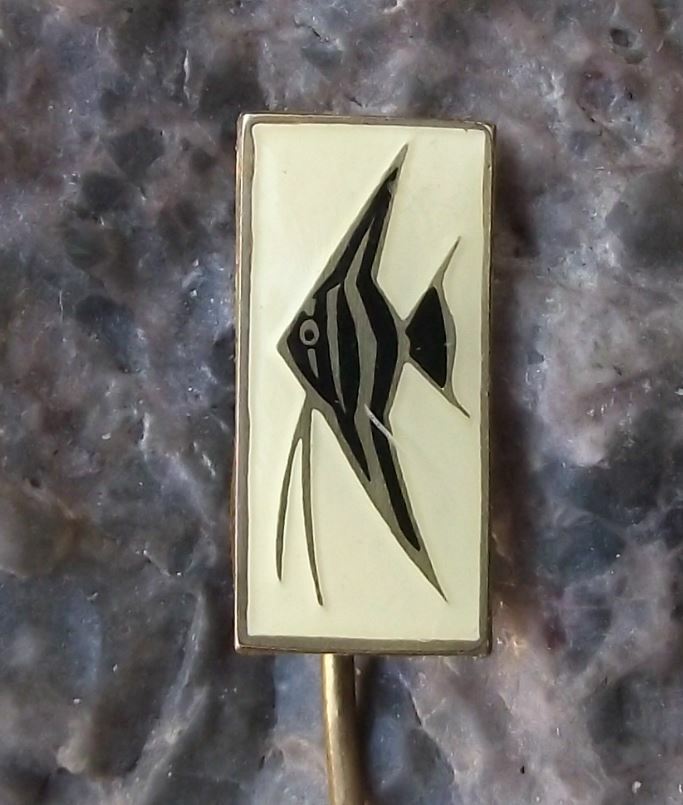 Angelfish Pterophyllum Aquarium Tropical Fish Club Czechoslovakia Pin Badge - Badgecrazy