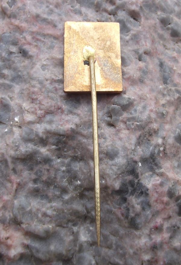 Antique Mlada Boleslav Lion Coat of Arms Czech City Heraldic Crest Pin Badge - Badgecrazy