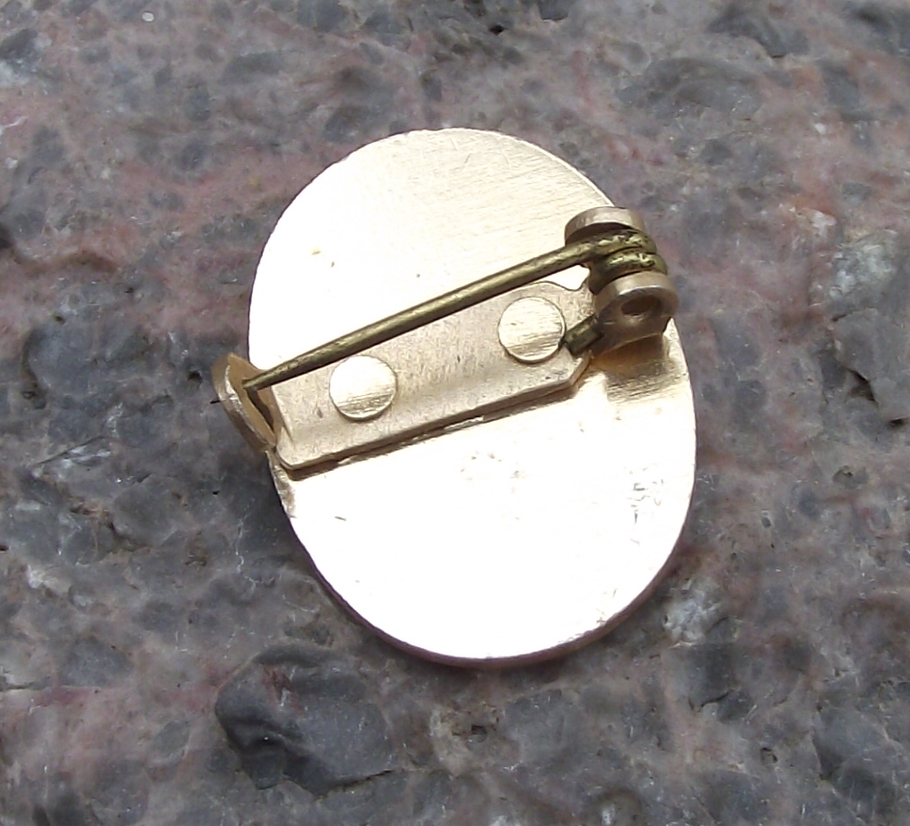 Vintage University Federation of Argentina Students Union UIS Pin Badge - Badgecrazy