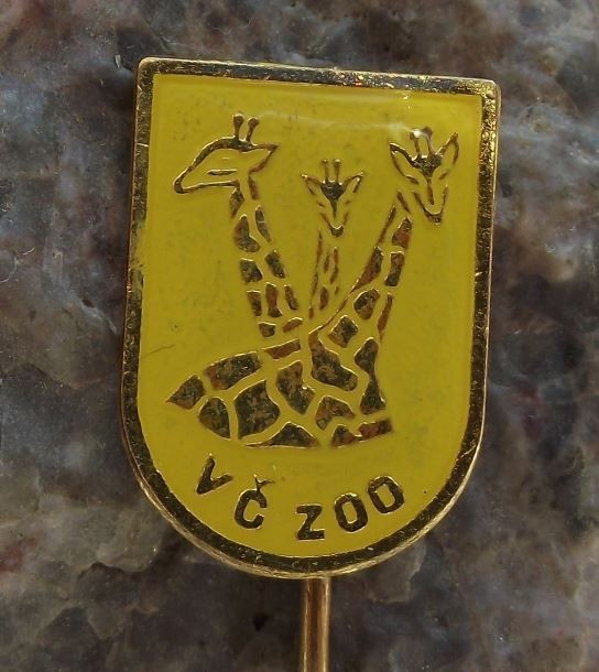 Antique Group Giraffe Herd Safari Park Dvur Kralove Czech Zoo Visitors Pin Badge - Badgecrazy