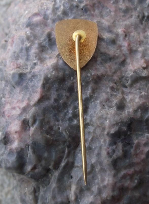 1971 Czechoslovakia State Forestry Commision Kasperske Hory Forest Pin Badge - Badgecrazy