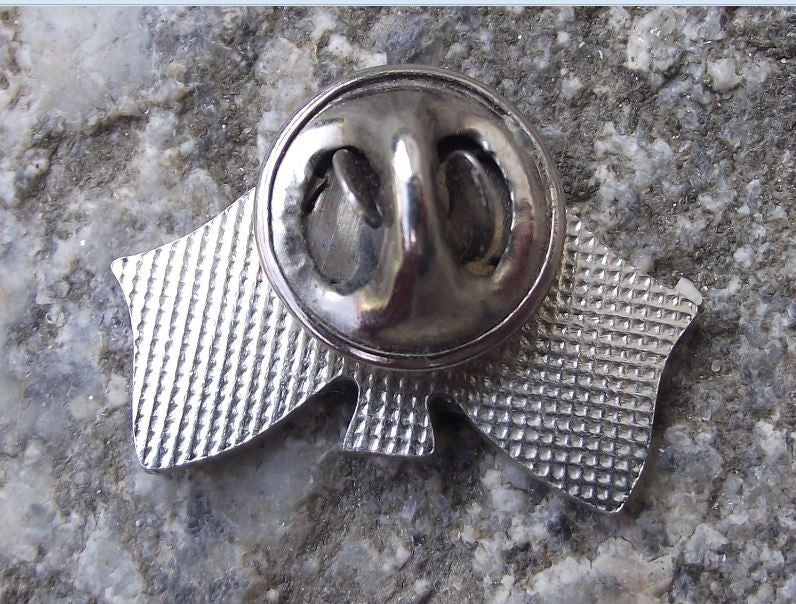 1997 Czech Republic Joins NATO Military Defense Crossed Flags Emblem Pin Badge - Badgecrazy