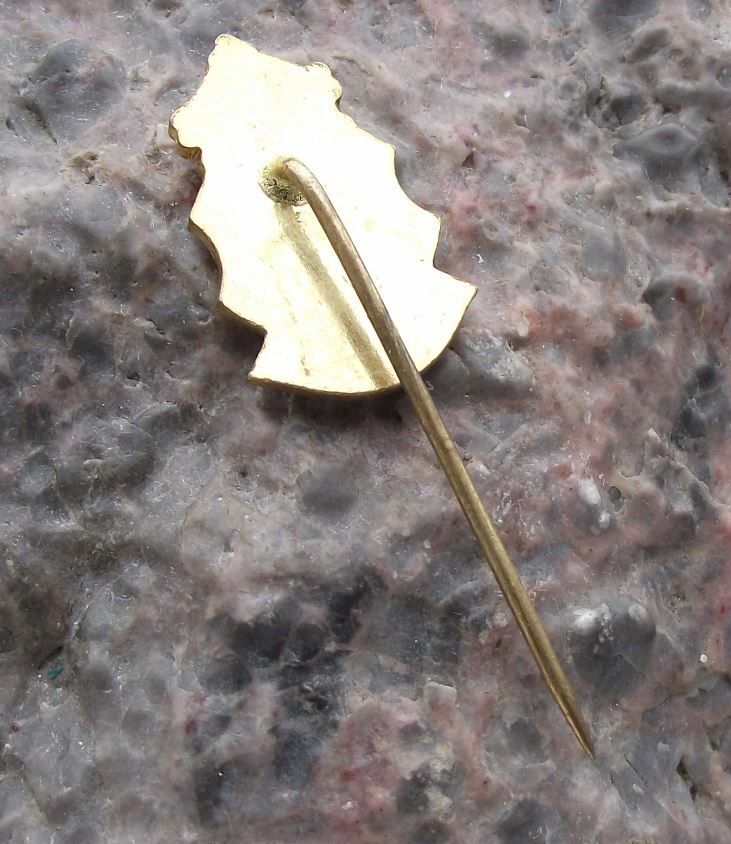 Antique Karlstejn Karlstein Coat of Arms Heraldic Crown and Lion Crest Pin Badge - Badgecrazy