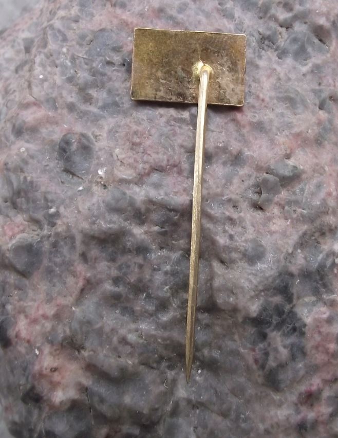 Antique Bitov Hill Castle Znojmo Czech Tourist Visitor Souvenier Pin Badge - Badgecrazy