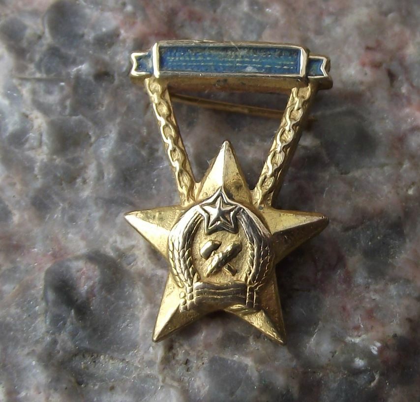 Antique Hungary Communist Coat of Arms Heraldic Crest Wheat Hammer Pin Badge - Badgecrazy